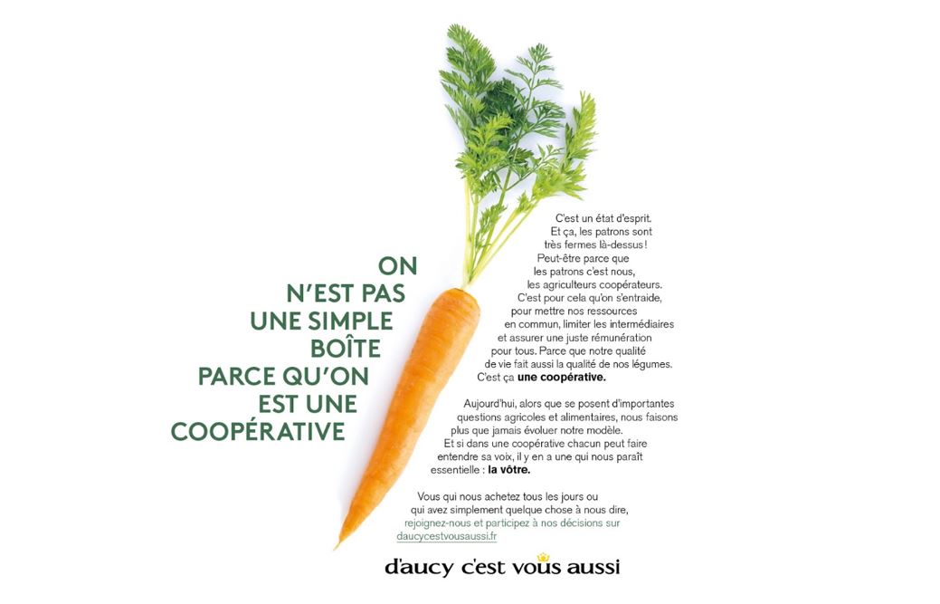 d'Aucy - Modele coop