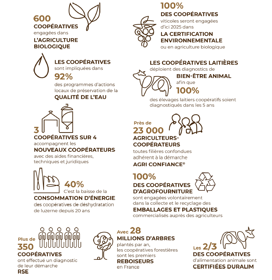 infographie engagements coopératives