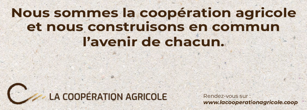 Conclusion Manifeste