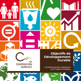 Une Thema ODD