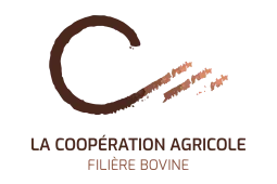 Logo LCA Filière Bovine