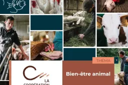 Thema Bien être animal