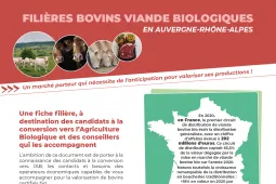 Visuel fiche filières bovins LCA ARA