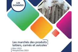 FAM visuel marché carné 2023