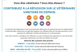réunions maillage vétérinaire