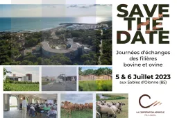 Std journées bovine et ovine 2023