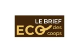 visuel brief eco