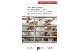 visuel rapport mercosur