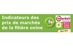Visuel cout de prod ovin mars 2023