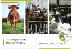 Le prochain webinaire de l'UMT PSR - 26 avril 2023