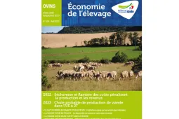 Dossier annuel ovin 2023