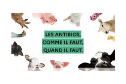 AAP ECOANTIBIO 2023
