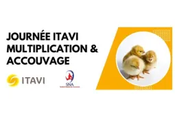 ITAVI journée 2023 accouvage