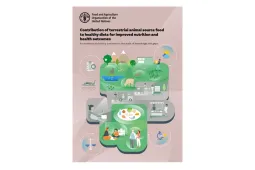 nouveau rapport FAO