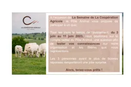 quizz semaine 2023