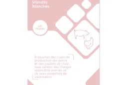 Etude FAM 