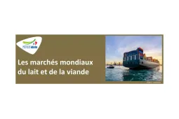 marchés mondiaux viandes idele2023.JPG 