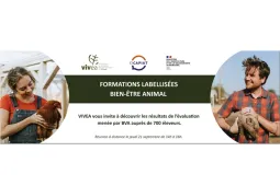 Formation BEA VIVEA