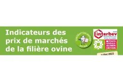 Indicateurs marché ovin juillet 2023