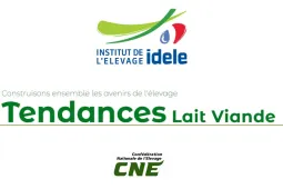 Tendances lait viande