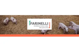 Farinelli