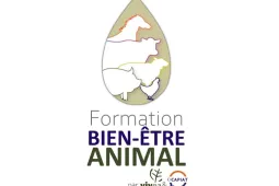 Formation BEA VIVEA OCAPIAT