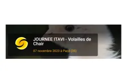 Itavi
