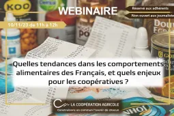 Webinaire tendance consommation français