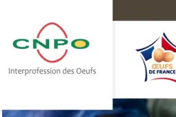 STD CNPO 2023