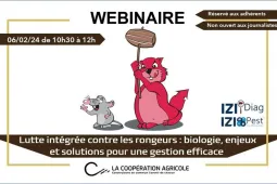 Webinaire - lutte rongeurs