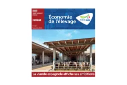 dossier idele 542