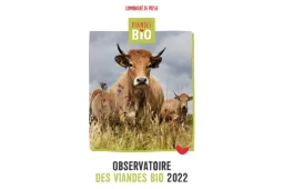 observatoire viande bio 2022