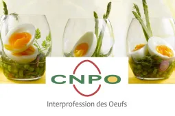 CNPO