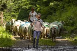 Transhumance 2