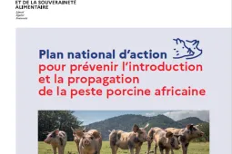 Plan d'action PPA