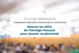 journée délibérative cese