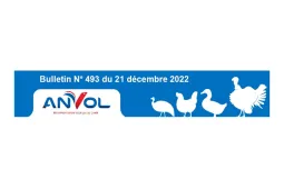 INTERFILIERE493