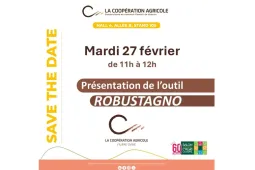 STD Robustagno