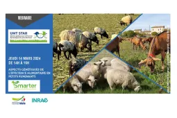 Webinaire UMT STAR