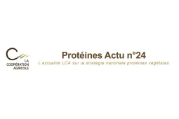 protéine actu 24