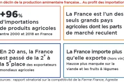 Visuel note sécurité alimentaire Zhomnivore