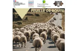Feuille de route filières lainières