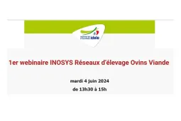 webinaire inosys