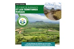 CNE TERRITOIRE