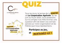 QUIZ PA semaine LCA 24