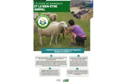 Fiche CNE Elevage BEA