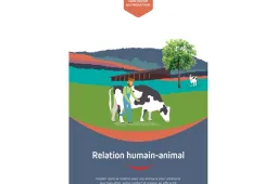 Guide Relation Himme-Animal