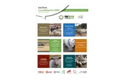 webinaires innovin 2024