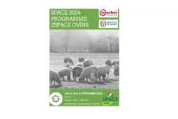 space ovins 2024