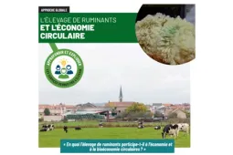 CNE économie circulaire